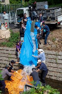 �}�X����2018