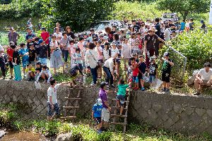 �}�X����2018