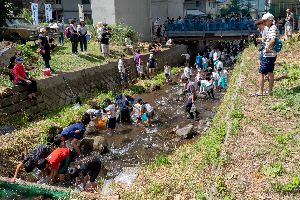 �}�X����2018