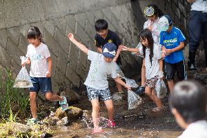 �}�X����2018