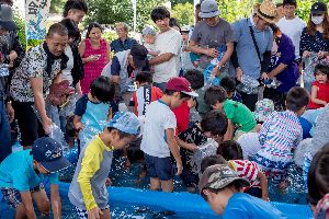 �}�X����2018