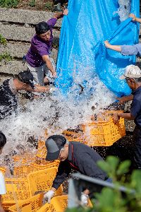 �}�X����2018