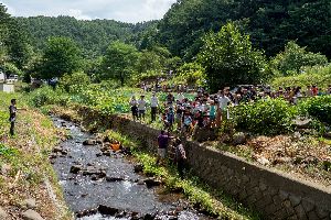 �}�X����2018