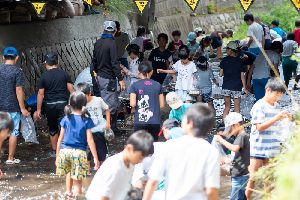 �}�X����2018