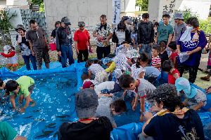 �}�X����2018